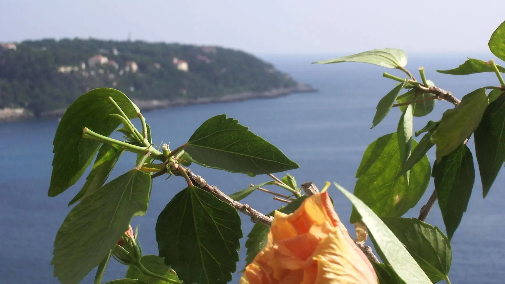 Hotel Le Roquebrune